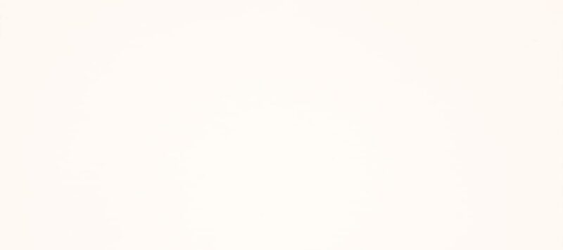J0029 Bianco Malè