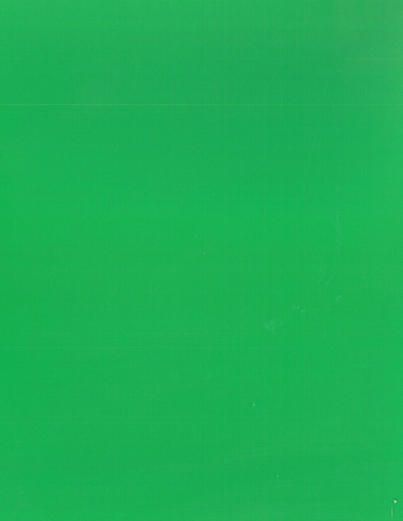 Kiwi Green