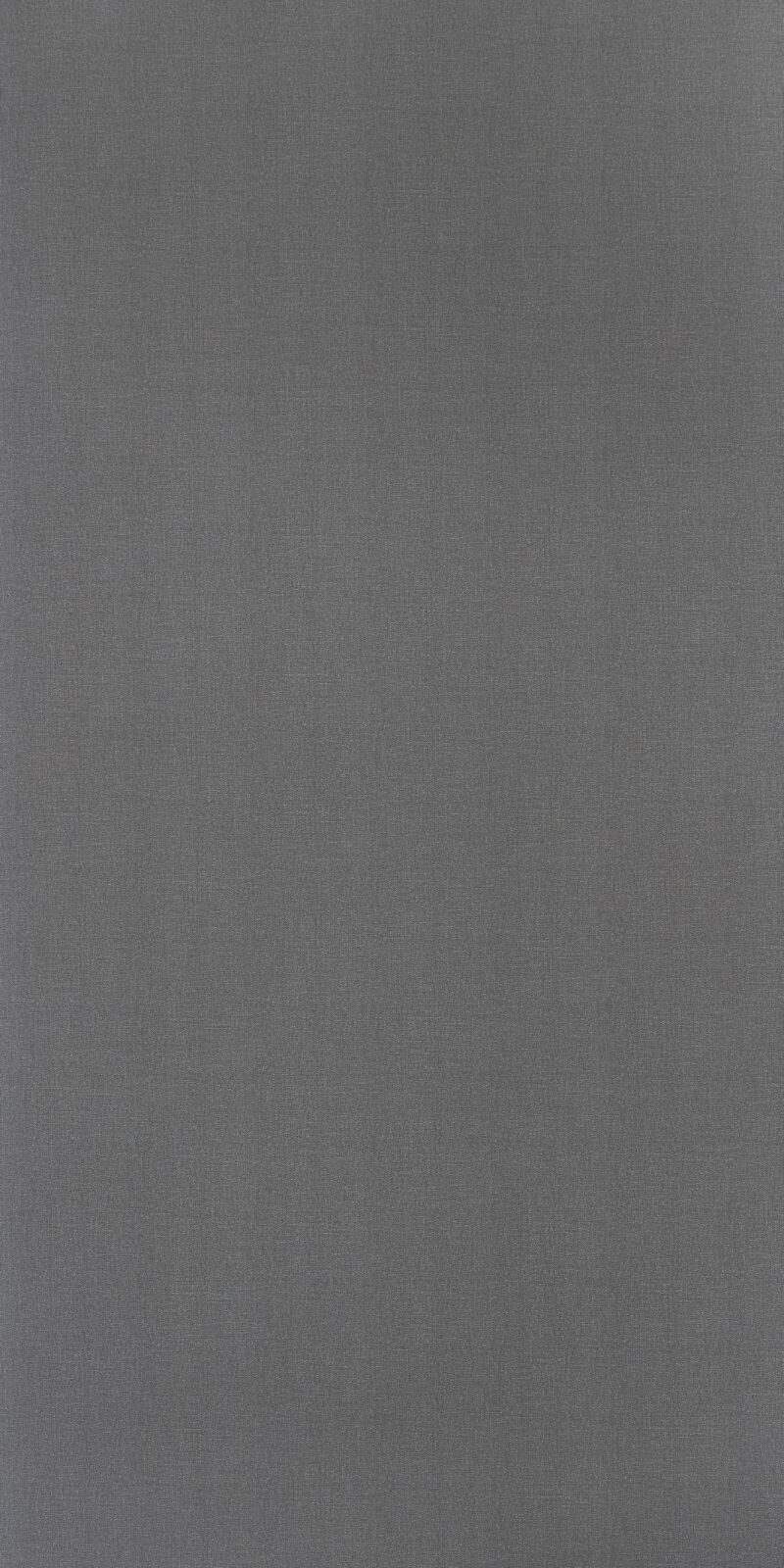 Dimmed Suit