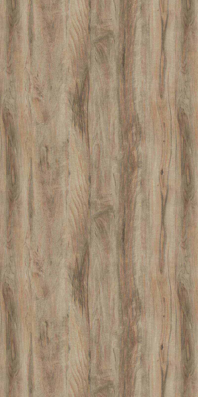 Oxidized Maple