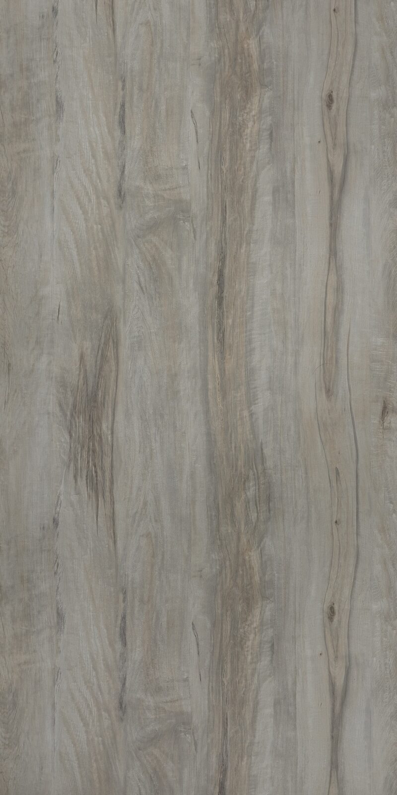 Pale Maple