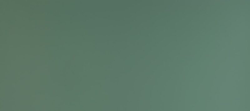 J0773 Verde Brac