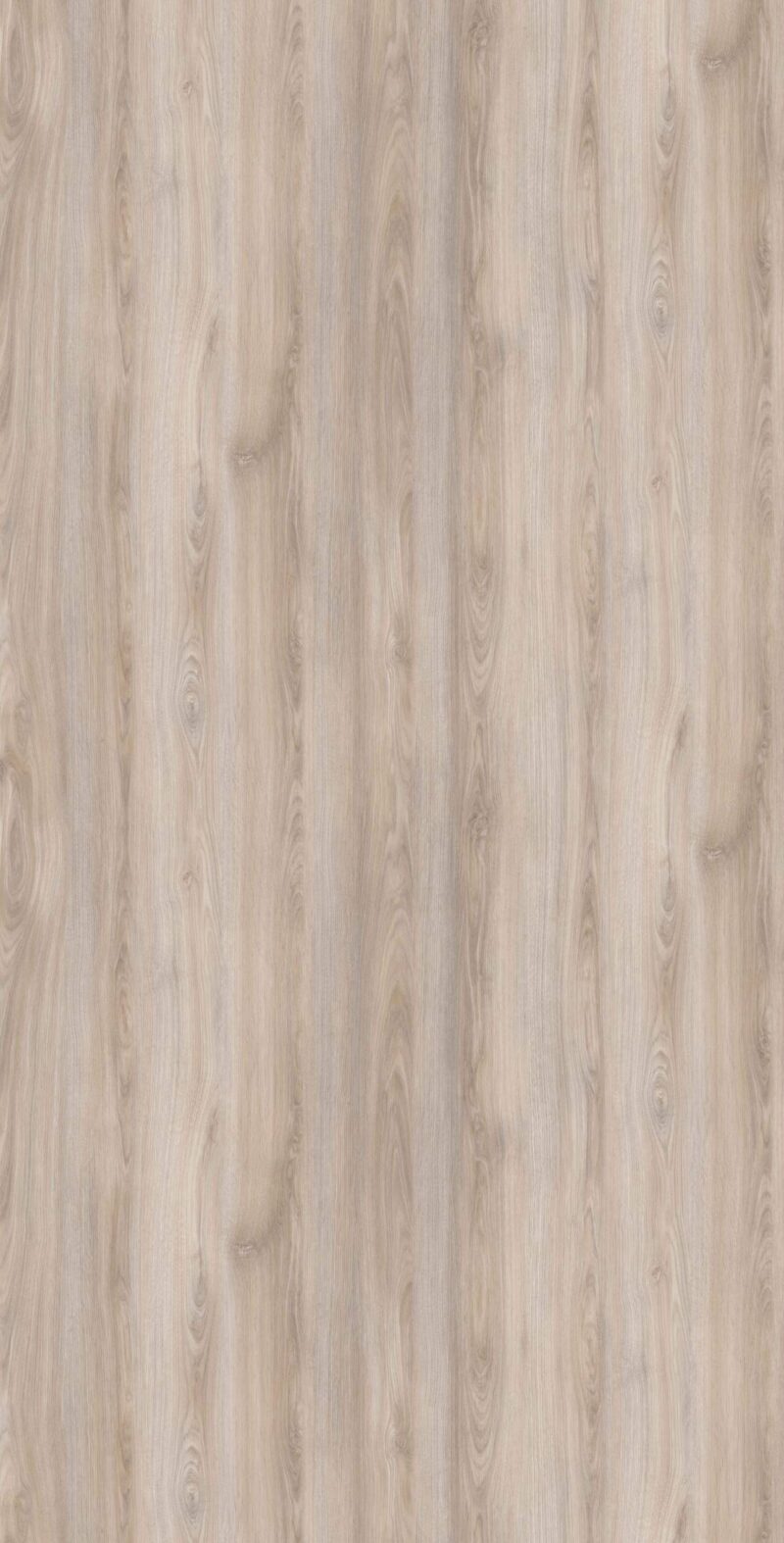 1169SF Champagne Oak