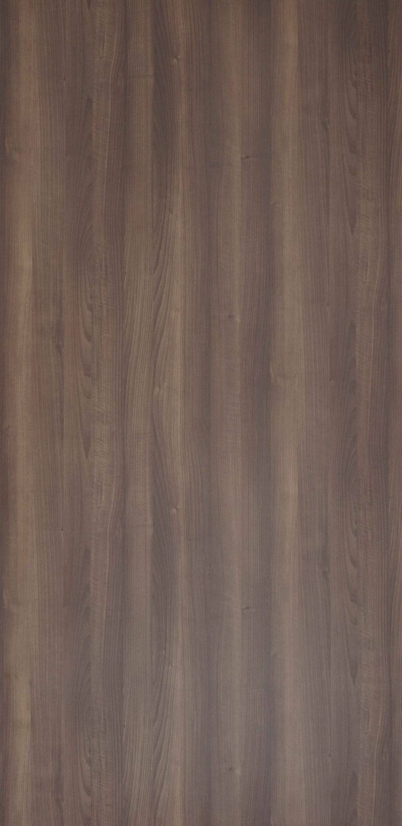 American Walnut
