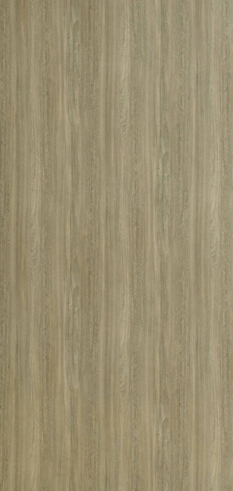 Mocha Elm
