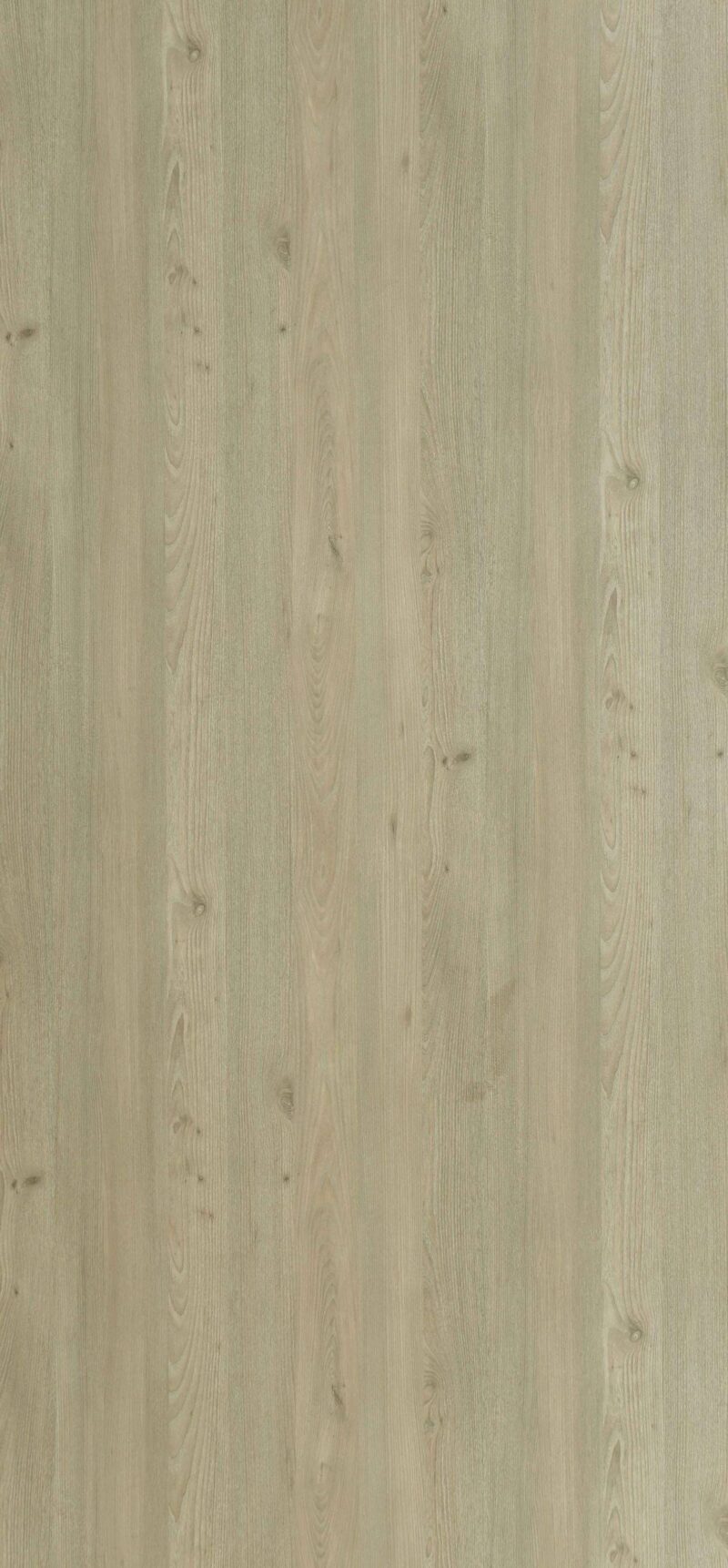 Chalked Knotty Ash