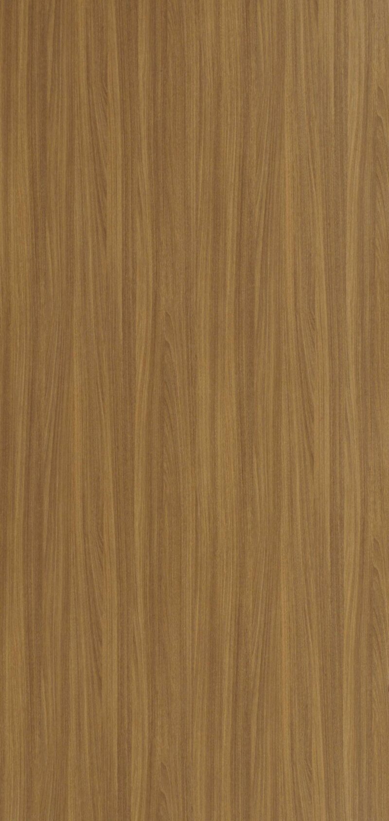 Oiled Legno